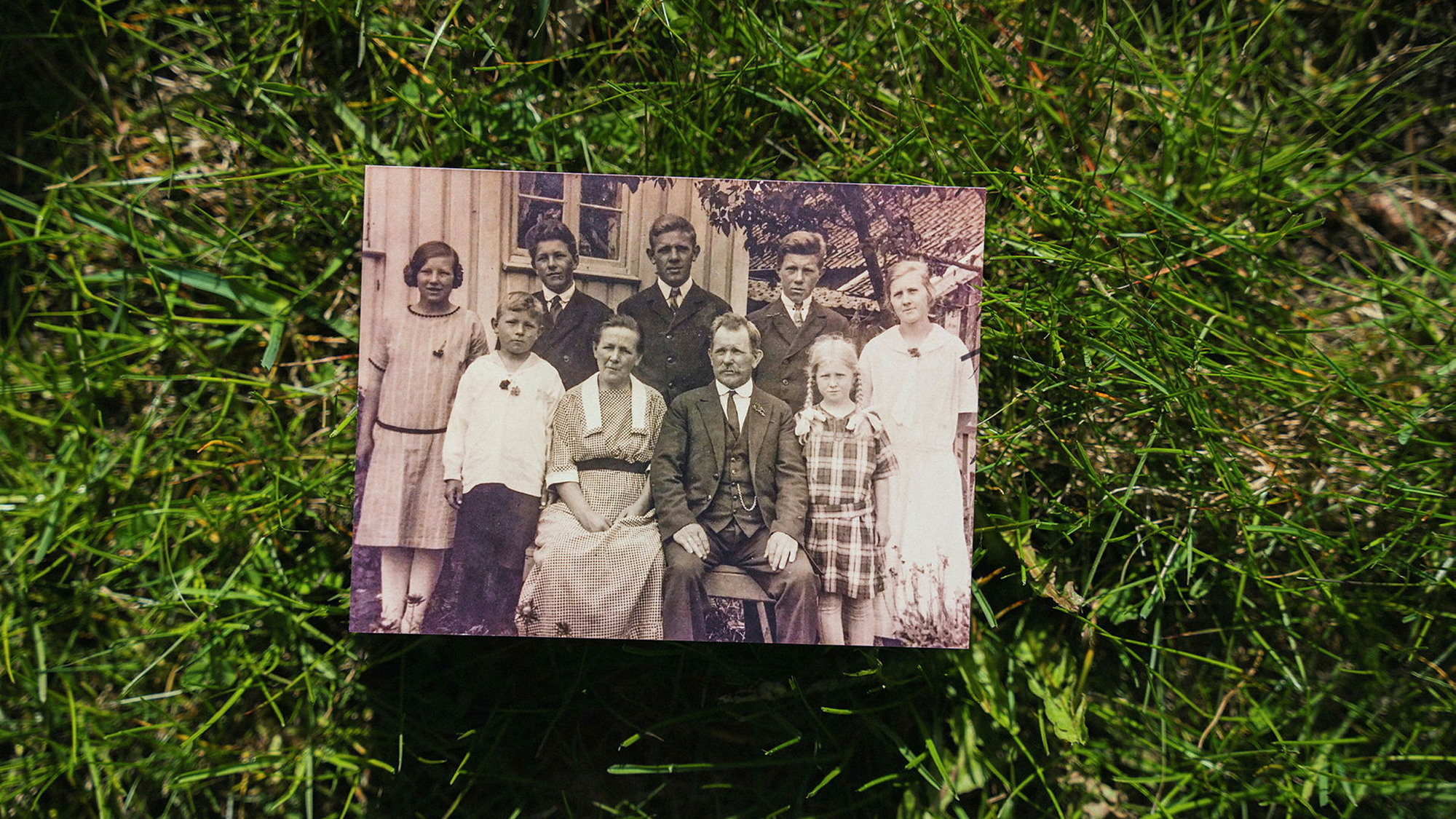 Hageland Dømmesmoen bilde