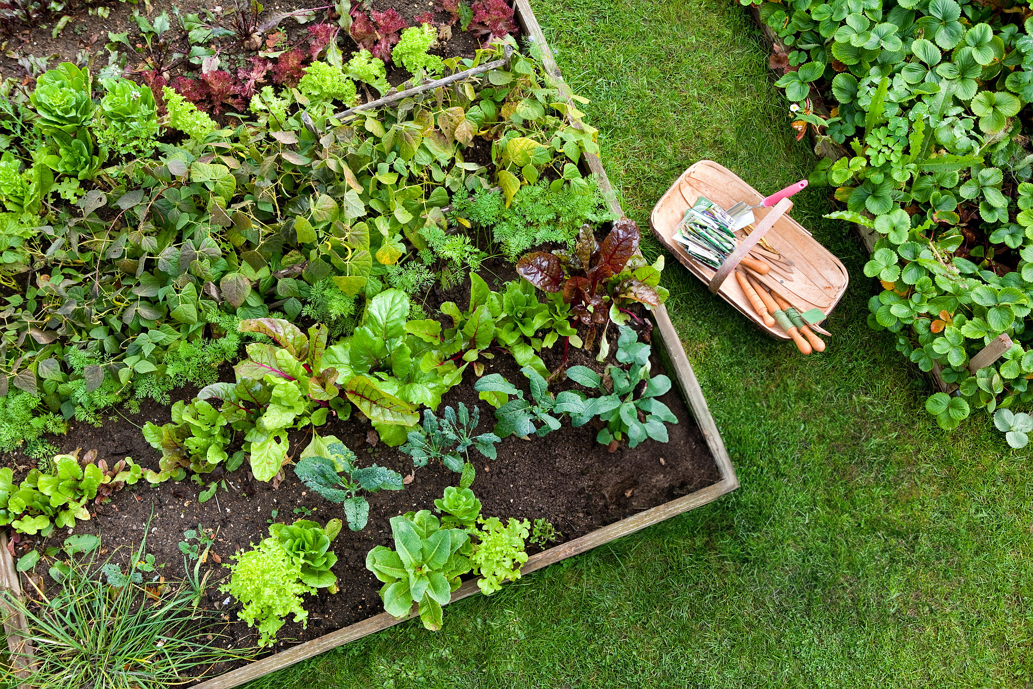 Hageland Dømmesmoen bilde